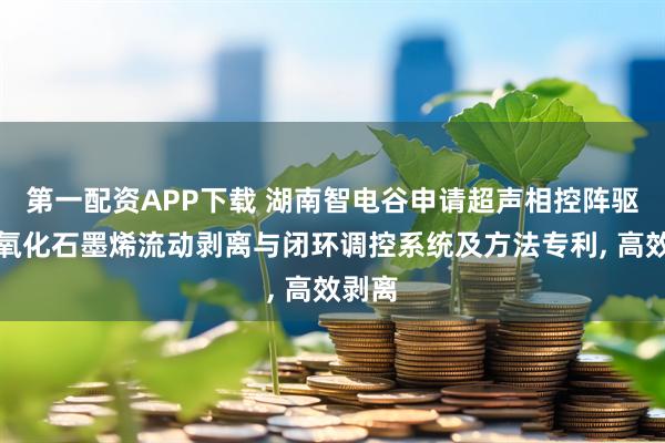 第一配资APP下载 湖南智电谷申请超声相控阵驱动的氧化石墨烯流动剥离与闭环调控系统及方法专利, 高效剥离