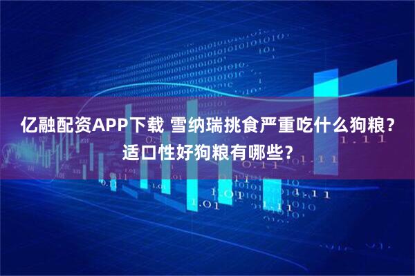 亿融配资APP下载 雪纳瑞挑食严重吃什么狗粮？适口性好狗粮有哪些？