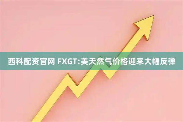 西科配资官网 FXGT:美天然气价格迎来大幅反弹