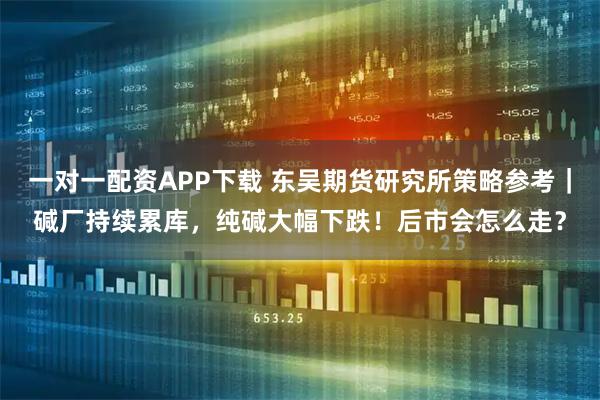 一对一配资APP下载 东吴期货研究所策略参考｜碱厂持续累库，纯碱大幅下跌！后市会怎么走？