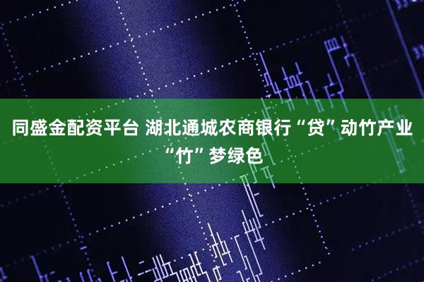 同盛金配资平台 湖北通城农商银行“贷”动竹产业“竹”梦绿色