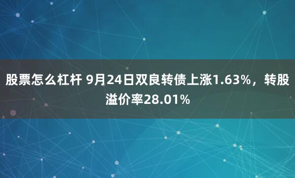 股票怎么杠杆 9月24日双良转债上涨1.63%，转股溢价率28.01%