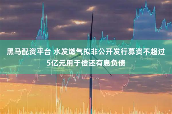黑马配资平台 水发燃气拟非公开发行募资不超过5亿元用于偿还有息负债